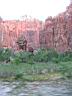 020_zion.jpg